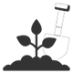 Cultivo