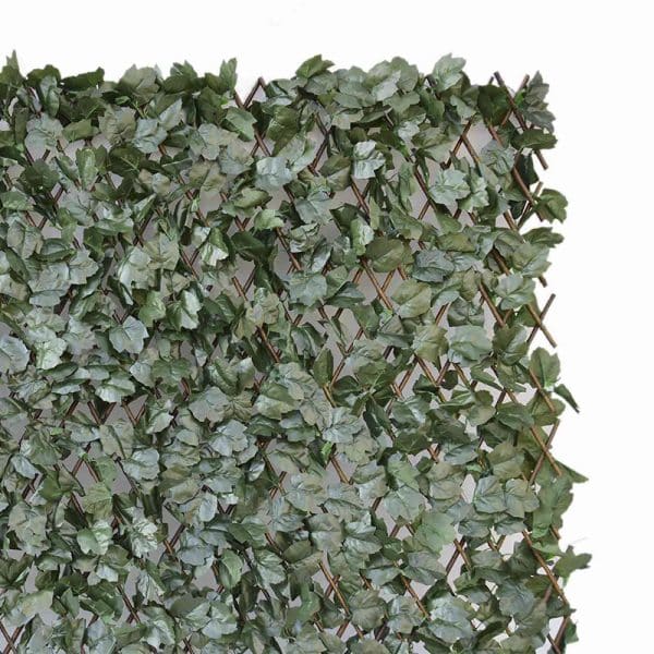Celosía MIMBRE con Hoja decorativa 1x2 Metros