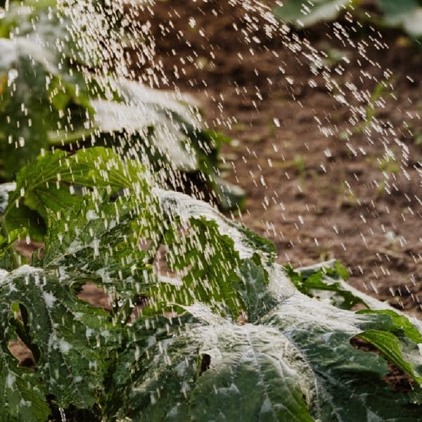Pulverizador DOMOAGRO PRO 16L - Imagen 2