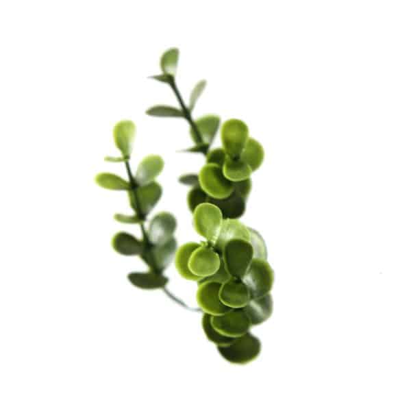 Jardín Vertical BUXUS 4 piezas 50x50cm - Imagen 5