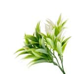 Ramo Artificial PODOCARPUS Pack 5 Ramos - Imagen 7
