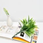 Ramo Artificial PODOCARPUS Pack 5 Ramos - Imagen 2