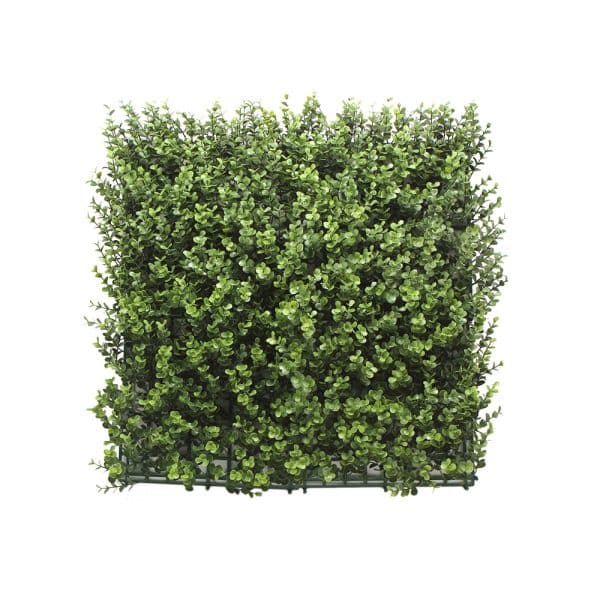 Jardín Vertical BUXUS 4 piezas 50x50cm