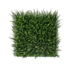 Jardín Vertical HALEPENSIS 4 piezas 50x50cm
