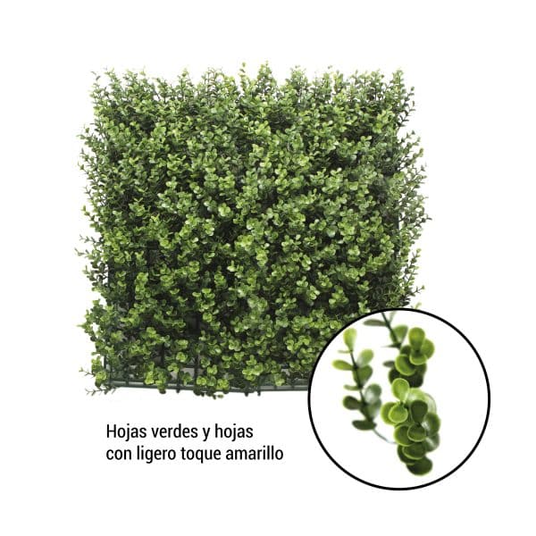 Jardín Vertical BUXUS 4 piezas 50x50cm - Imagen 2
