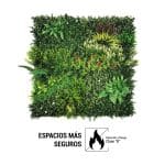 Jardín Vertical COSTA RICA Reacción Fuego Clase "B" 100x100cm - Imagen 2