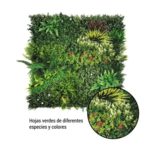 Jardín Vertical COSTA RICA Reacción Fuego Clase "B" 100x100cm - Imagen 4