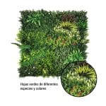 Jardín Vertical JAMAICA  1 Pieza 100x100cm - Imagen 4