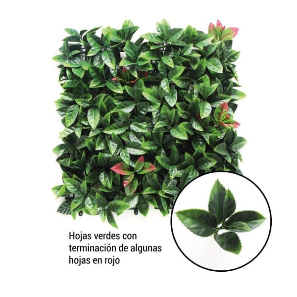 Jardín Vertical PHOTINIA ROJO 4 piezas 50x50cm - Imagen 2