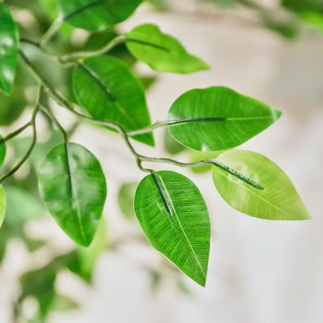 PLANTA ARTIFICIAL FICUS NATURE 185CM BONERVA TRONCO NATURAL