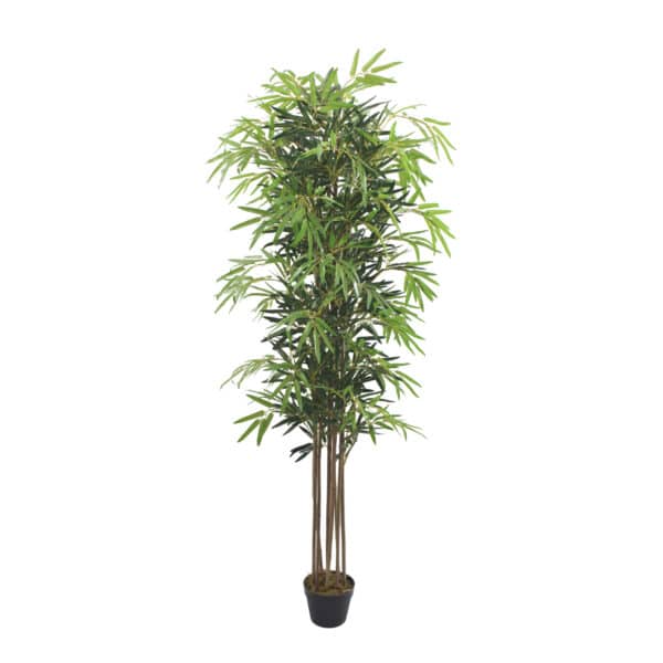 BAMBÚ Nature UV 180 cm - Imagen 2