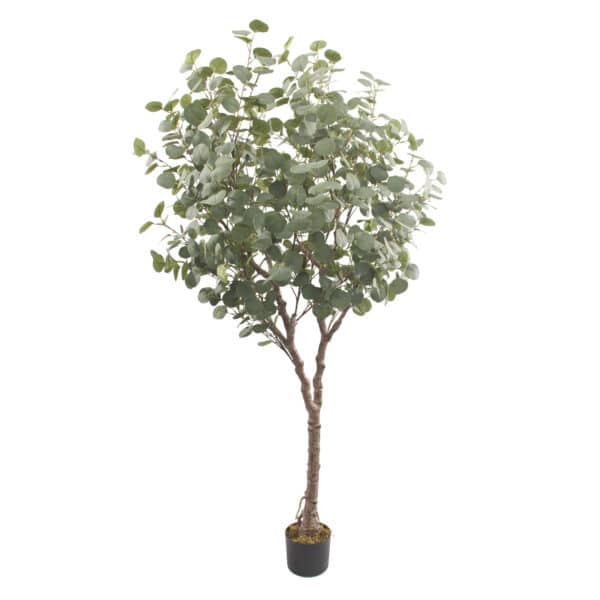 EUCALIPTO Deco 185 cm - Imagen 2