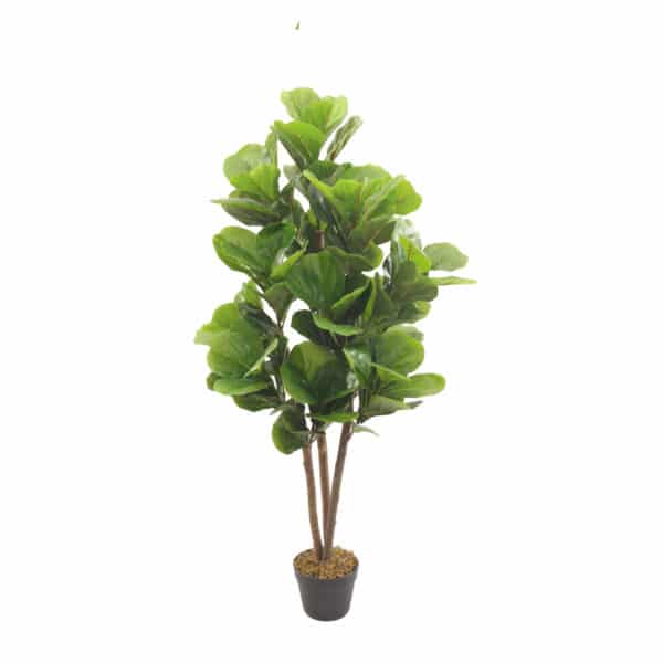 LIRA Nature 120 cm - Imagen 2