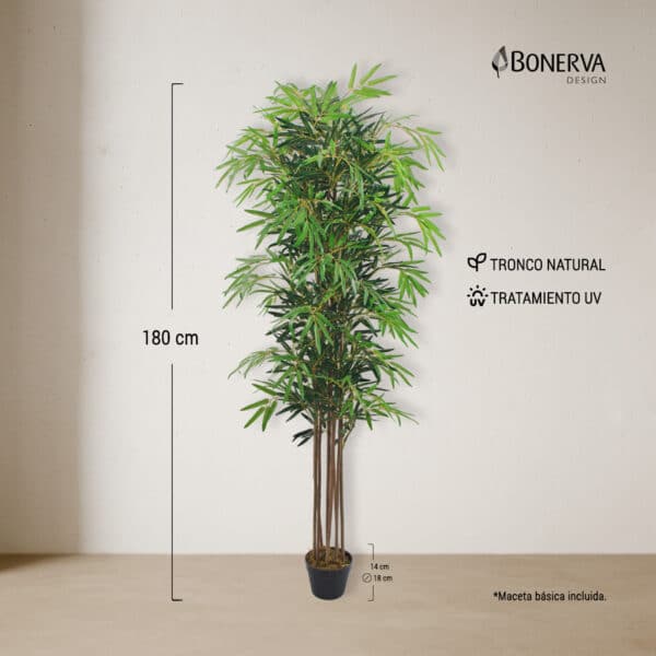 BAMBÚ Nature UV 180 cm - Imagen 3
