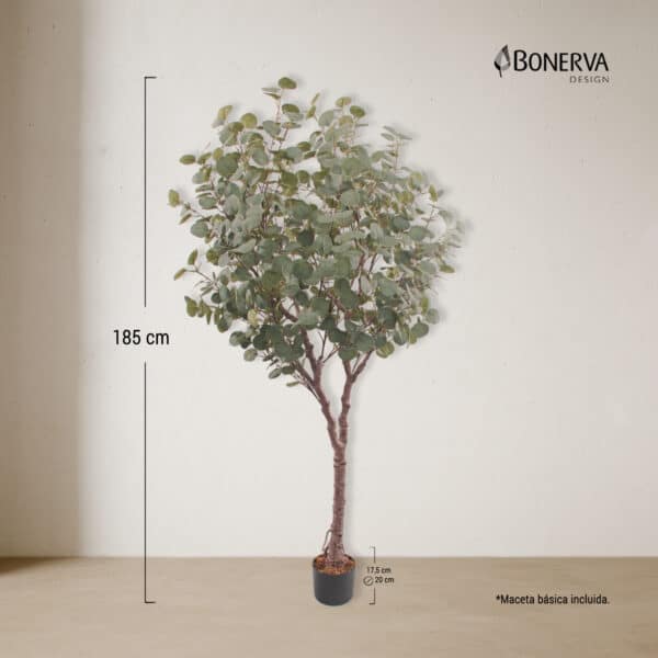 EUCALIPTO Deco 185 cm - Imagen 3