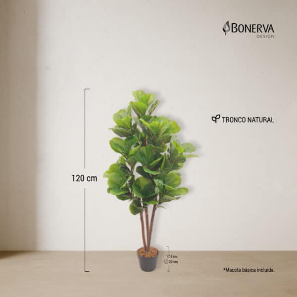 LIRA Nature 120 cm - Imagen 3