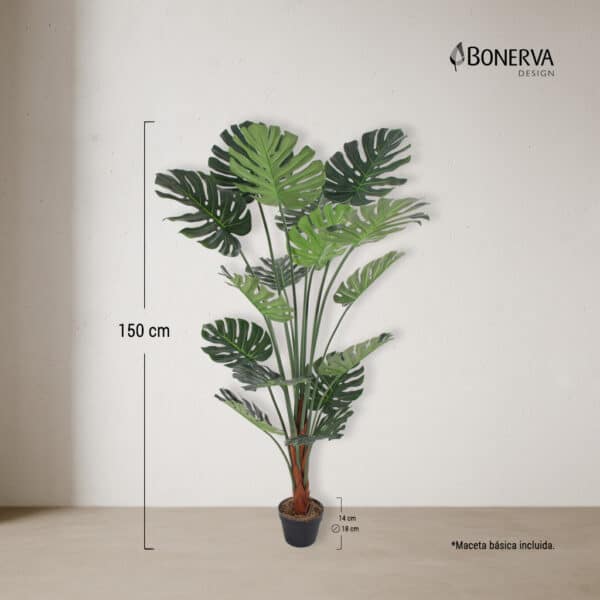 MONSTERA Deco 150 cm - Imagen 3