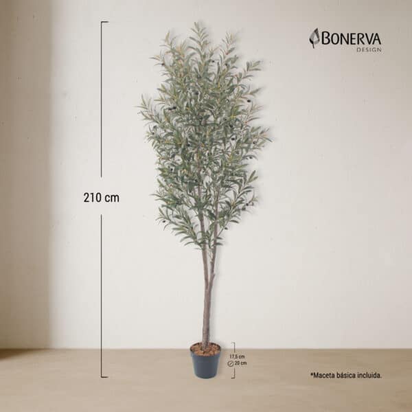 OLIVO Deco 210 cm - Imagen 3