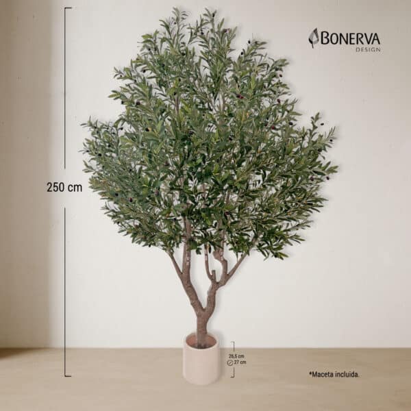 OLIVO Luxe 250 cm - Imagen 3