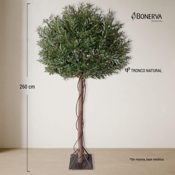 OLIVO Luxe Nature 260 cm - Imagen 3