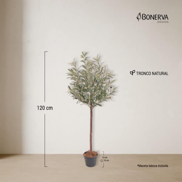 OLIVO Nature 120 cm - Imagen 3
