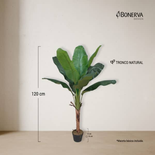 PLATANERA Nature 120 cm - Imagen 3