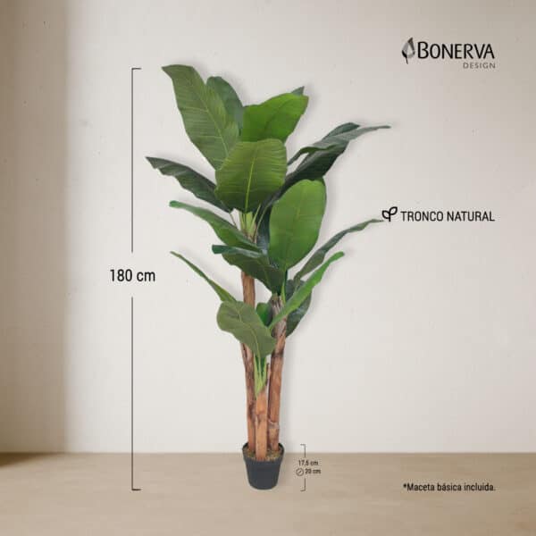 PLATANERA Nature 180 cm - Imagen 3