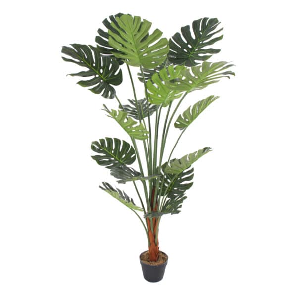 MONSTERA Deco 150 cm - Imagen 2
