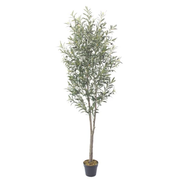OLIVO Deco 210 cm - Imagen 2