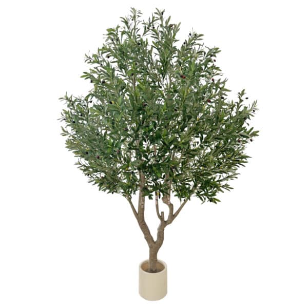 OLIVO Luxe 250 cm - Imagen 2