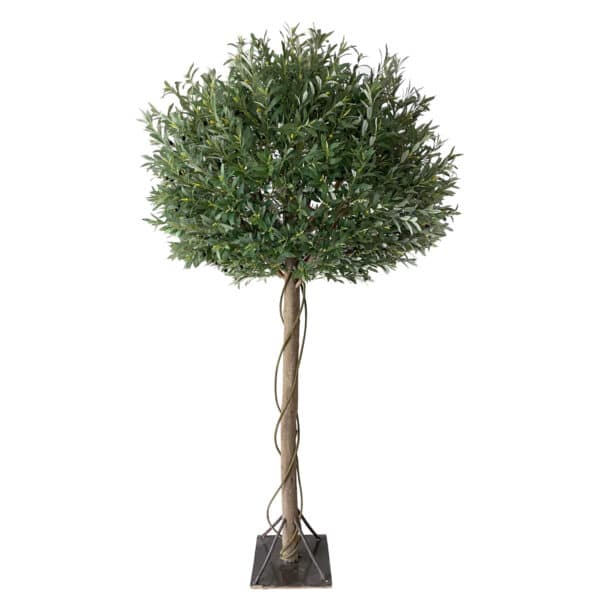 OLIVO Luxe Nature 260 cm - Imagen 2