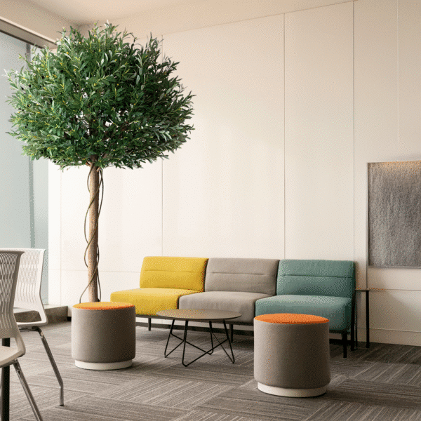 OLIVO Luxe Nature 260 cm