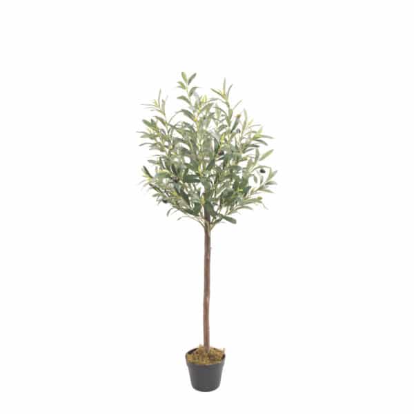 OLIVO Nature 120 cm - Imagen 2