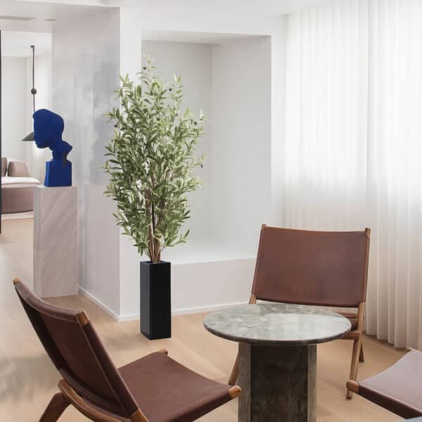 OLIVO Nature 180 cm