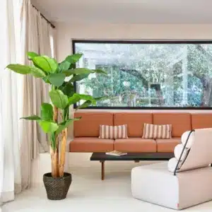 Planta Artificial PLATANERA Nature 180 cm Bonerva