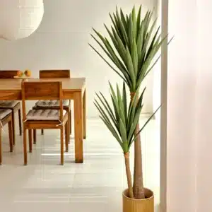 Planta Artificial YUCA Deco 150 cm Bonerva