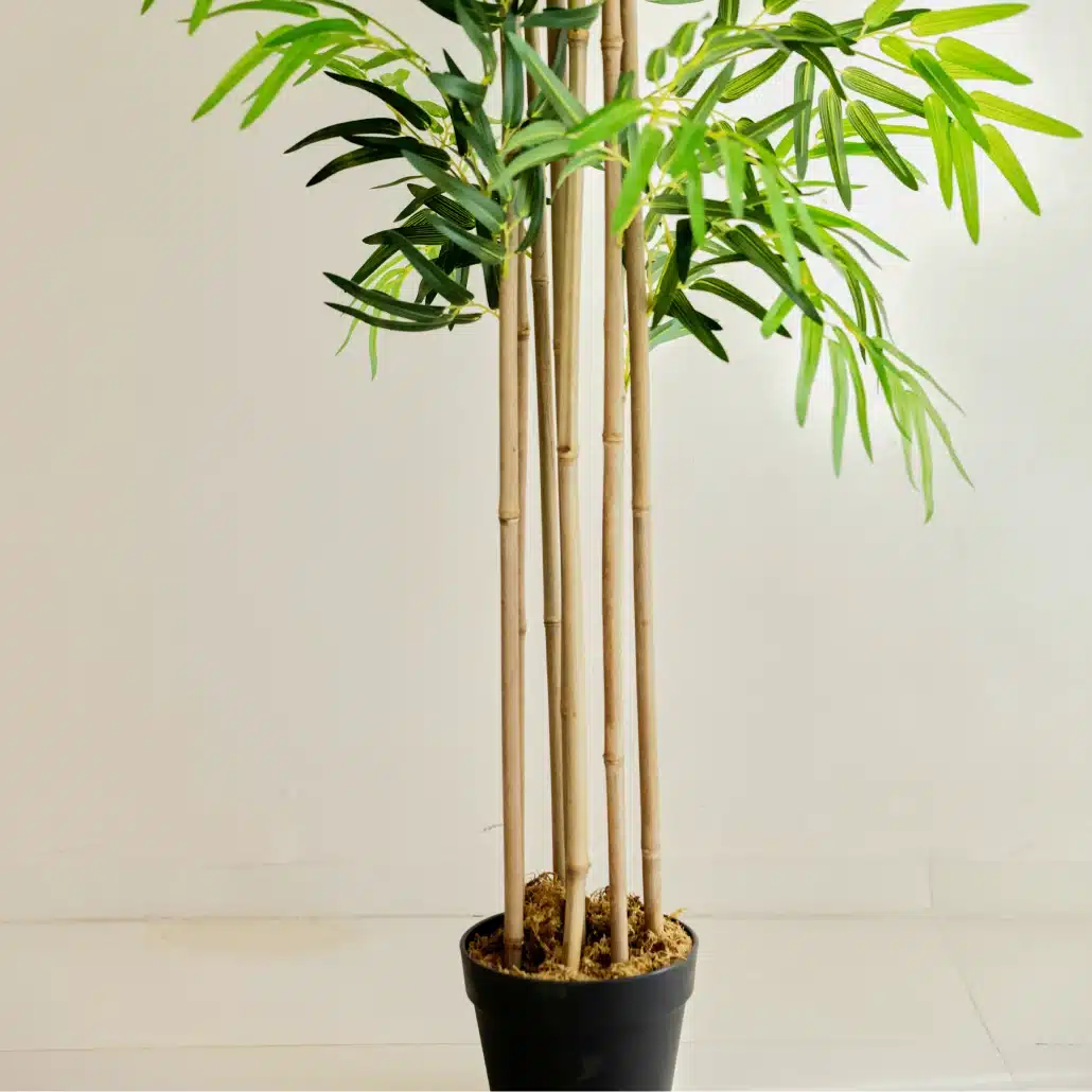 Planta Artificial BAMBÚ Nature UV 180 cm - Imagen 4