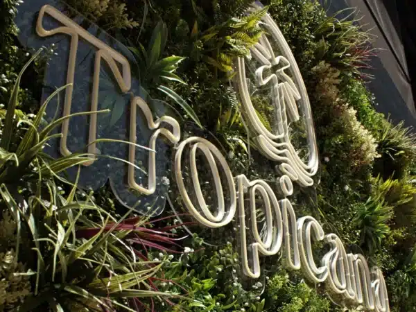JARDIN VERTICAL BAHAMAS BONERVA EN TERRAZA TROPICANA