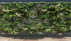 jardín vertical bahamas en tropicana