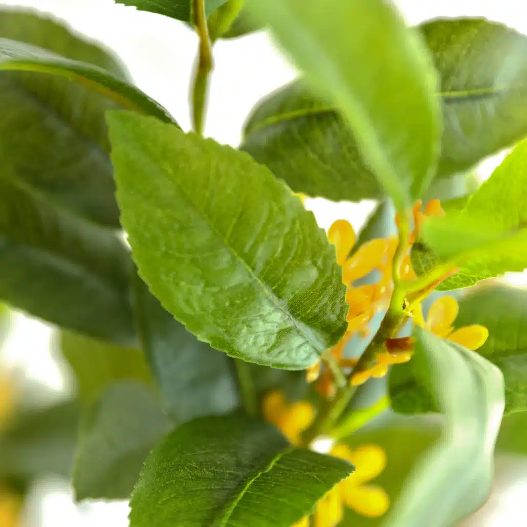 Planta Artificial LIMÓN Deco 135 cm - Imagen 5