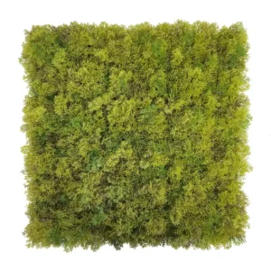 Jardín Vertical MUSGO PLUS 4 piezas 50x50cm