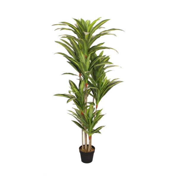 Planta artifical Drácena Deco 170 Bonerva