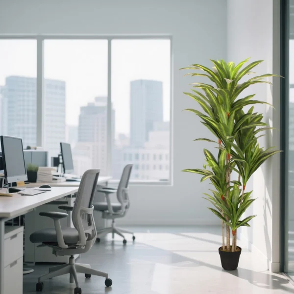 Planta artificial drácena deco 170cm Bonerva. Foto ambiental oficina.
