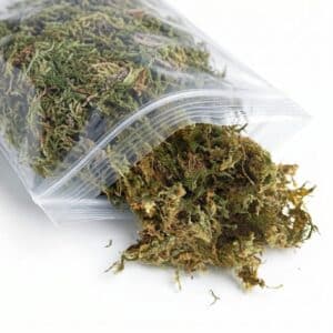 Musgo preservado bolsa 200gr