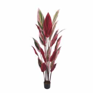 Planta Artificial PARAÍSO BURGUNDY 190 cm