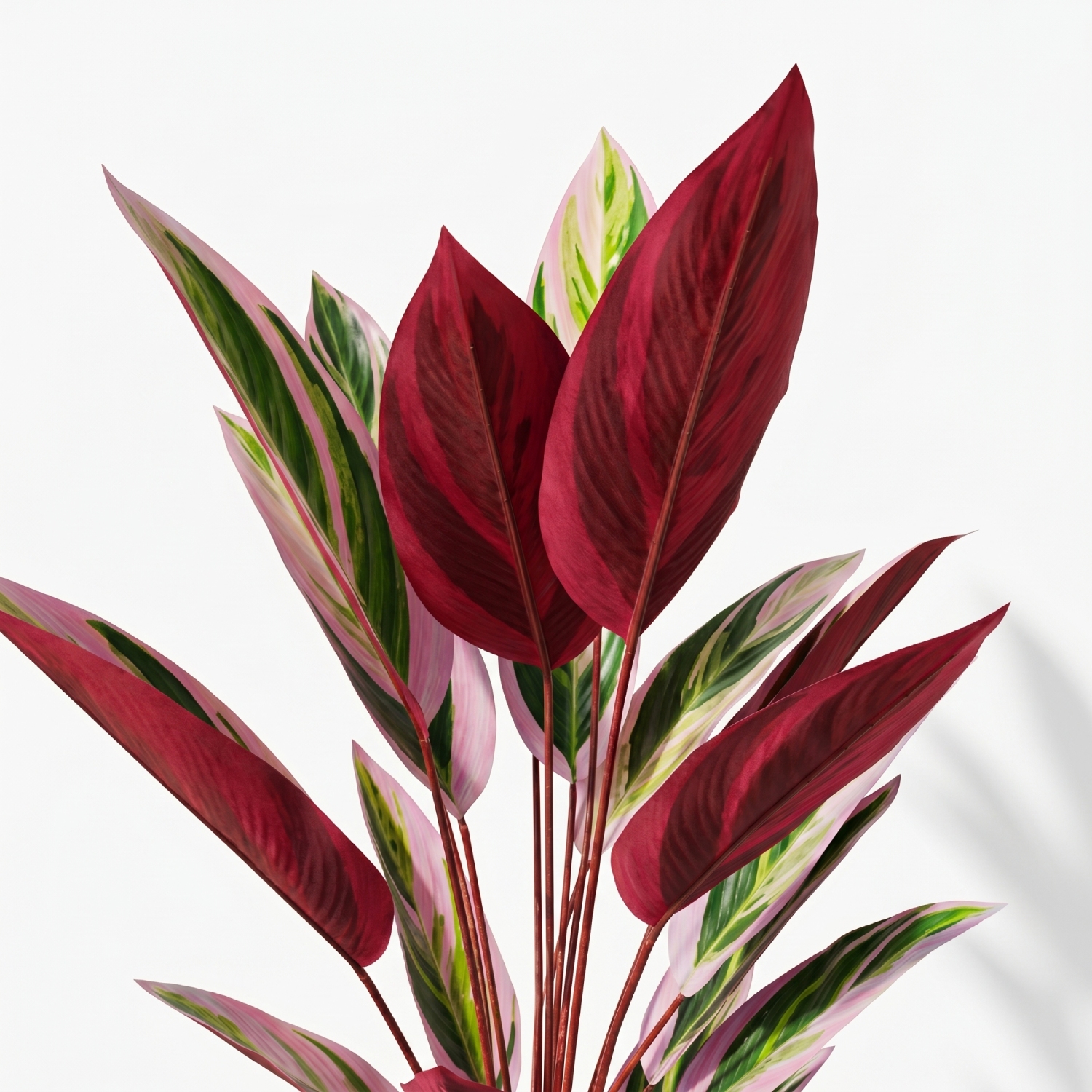 Planta Artificial BUGANVILLA NATURE 150 cm - Imagen 9