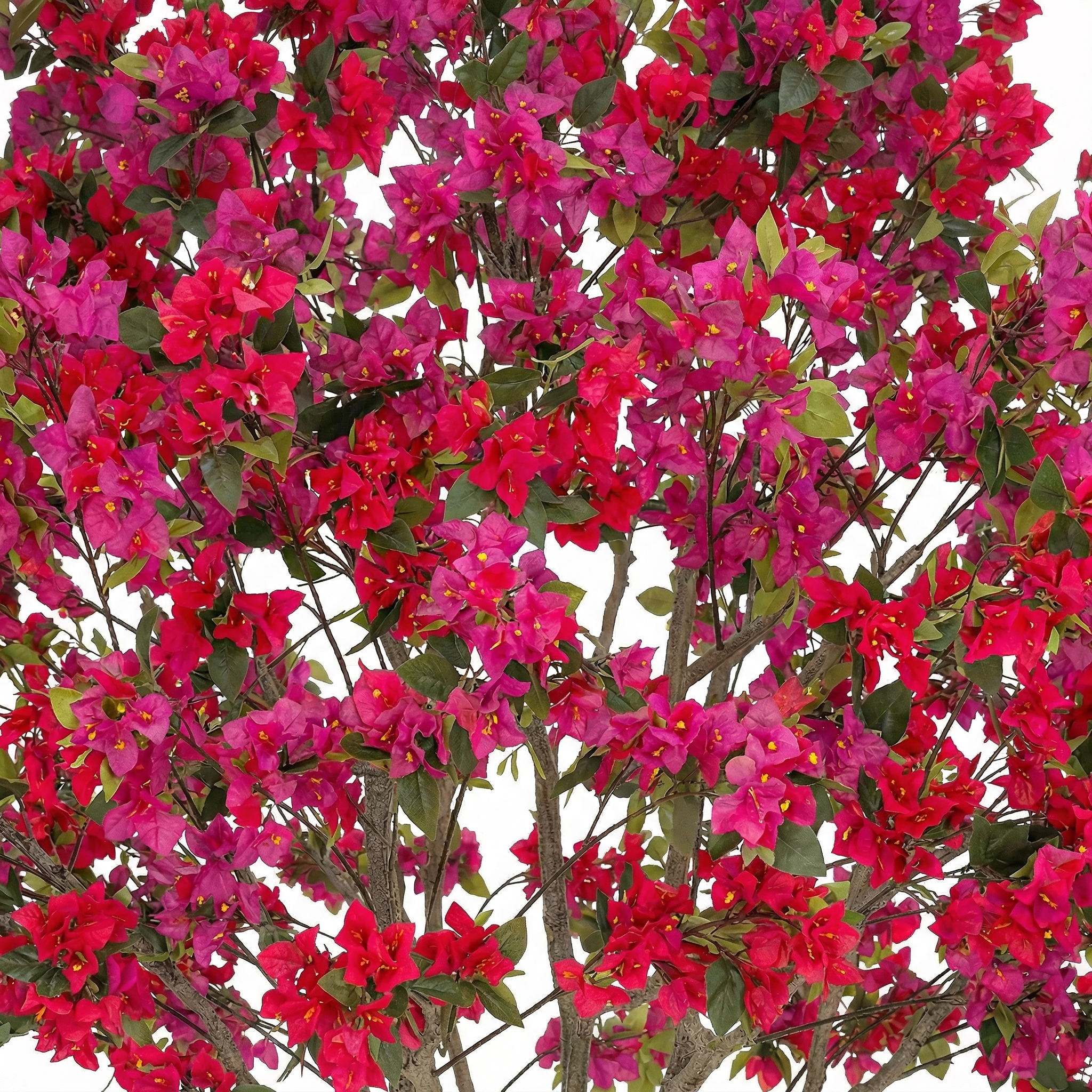 Planta Artificial BUGANVILLA LUXE 280 cm - Imagen 2